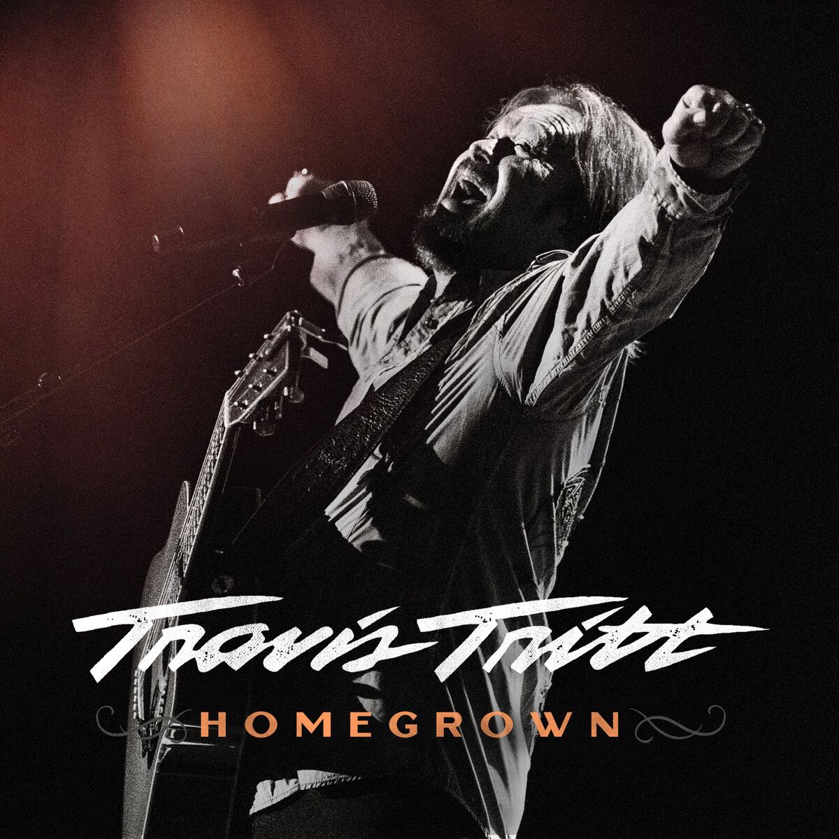 Travis Tritt